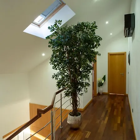 Villa House Gondomar