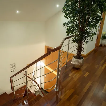House Villa Gondomar